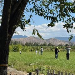 六月瓣咖啡 User Photo