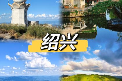 ZHENQIANJIE FERMENTED BEAN CURD CHICKEN WINGS