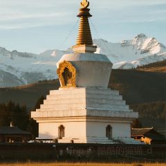 老字号特色火锅店 User Photo