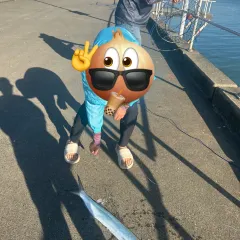 Fish Market User Photo