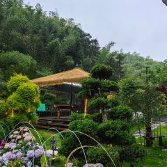 LI DONG NONG ZHUANG User Photo