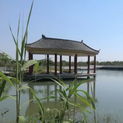 臭鳜鱼人家·老字号徽菜 User Photo