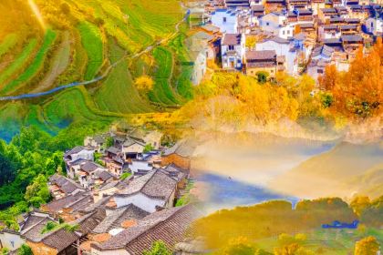 章云板鸭(评事街店)