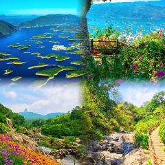 ZHI XIANG WANG SHI User Photo