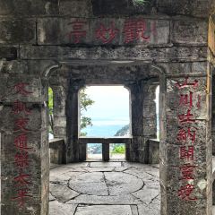 LAO ZHOU JI DAN BING User Photo