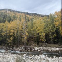 禾木老村山庄 User Photo