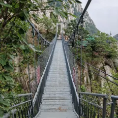 张记逍遥胡辣汤(大坑沿街店) User Photo