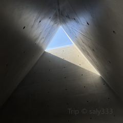 河源春沐源小镇·棕榈树酒店·Papa Razzi西餐厅 User Photo