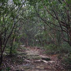 TONG QING LOU 여행 사진