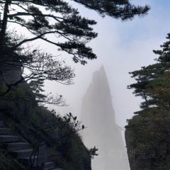 DE YUE LOU User Photo