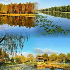 紫阳牛肉麦虾 여행 사진