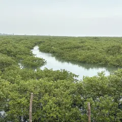 信記蝦餅張用戶圖片