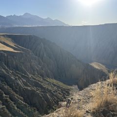 临崖咖啡厅 User Photo