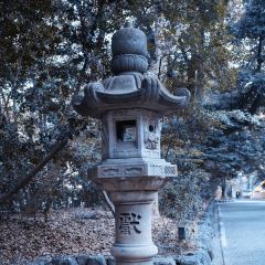 Chinchoan Nachisan User Photo