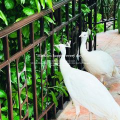 ThaiWan-Thai灣(ไทยหวัน) User Photo