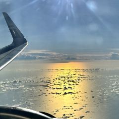 Plaza Premium Lounge User Photo