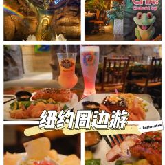 Rainforest Cafe張用戶圖片