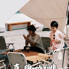 SEED COFFEE User Photo