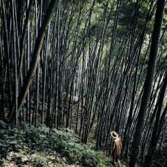 柒月麓山 ảnh của người dùng