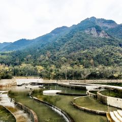 PAN ZHOU GU YI GEN MIAN User Photo