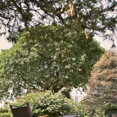 chill cafe User Photo