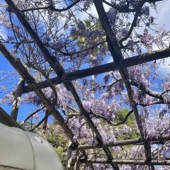 企沙渔港 User Photo