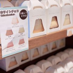 Fujiyama Cookie User Photo