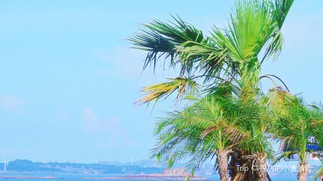 Xiuyu Shicheng Coastal Park