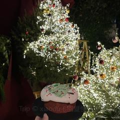 Cooperland User Photo