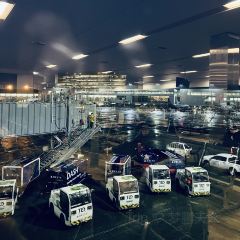 Dish D'lish User Photo