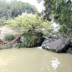 南坑咖啡观赏园 User Photo