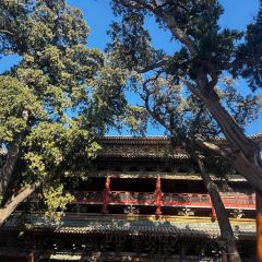 河东夜市 User Photo