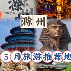 雷官板鸭 User Photo