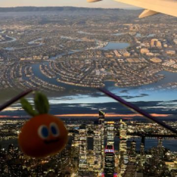 Katz's Delicatessen User Photo