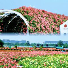 云间花境餐厅 User Photo
