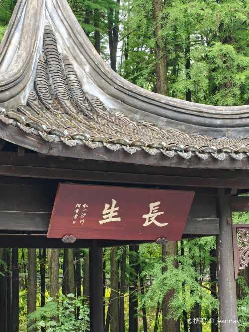 dong da fang ( lin an hui long dian )