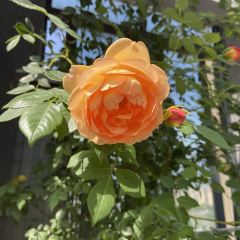 王家厨房(新华路店) User Photo