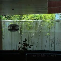 閱味草堂張用戶圖片