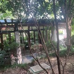 河阳鱼馆(凤凰店) User Photo