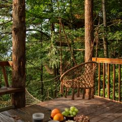 一山树屋咖啡营地 User Photo