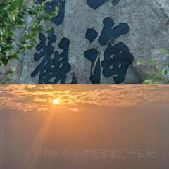 鱼当家 User Photo