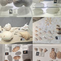 Jia jun ba bao niu za 여행 사진