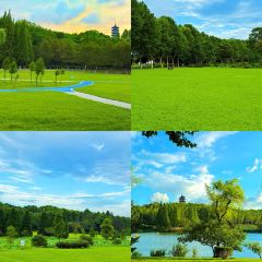 幸福林养生农庄(水口店) User Photo