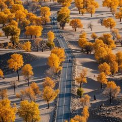 自選王大食堂張用戶圖片