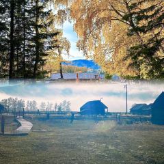 每天春羊羔烤肉店 User Photo