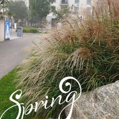 Naive li xiang guo (a na ya dian) User Photo