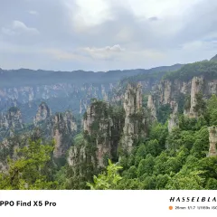 老王三下锅 User Photo