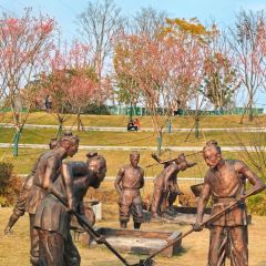 瀘州白糕張用戶圖片