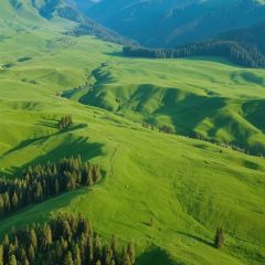 古兰丹姆冰激凌店 User Photo