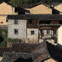 飞茑集樢咖啡 User Photo